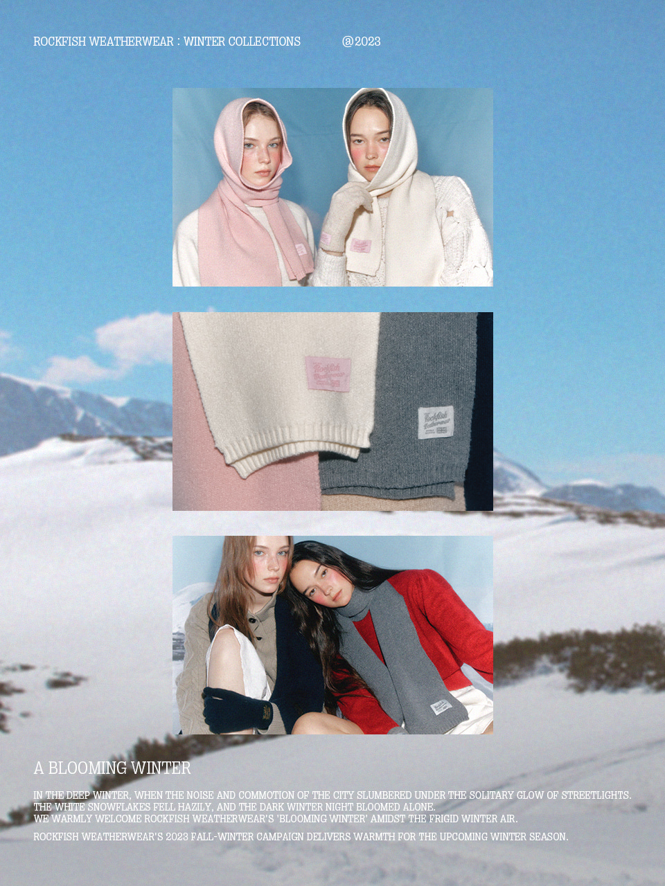 23FW Winter Collection - A Blooming Winter